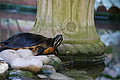 Bernhard Saalfeld - DSC08682.JPG