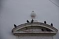 Bernhard Saalfeld - DSC08812.JPG