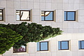 Bernhard Saalfeld - DSC08862.JPG