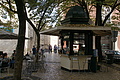 Bernhard Saalfeld - DSC08926.JPG