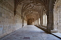 Bernhard Saalfeld - DSC08989.JPG