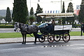 Bernhard Saalfeld - DSC09014.JPG