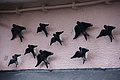 Bernhard Saalfeld - DSC09091.JPG