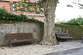 Bernhard Saalfeld - DSC09105.JPG