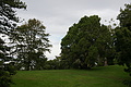 Bernhard Saalfeld - DSC09141.JPG