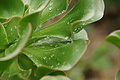 Bernhard Saalfeld - DSC09156.JPG
