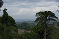 Bernhard Saalfeld - DSC09164.JPG