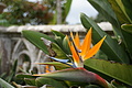 Bernhard Saalfeld - DSC09206.JPG