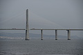 Bernhard Saalfeld - DSC09313.JPG