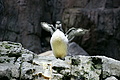 Bernhard Saalfeld - DSC09347.JPG