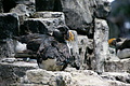 Bernhard Saalfeld - DSC09363.JPG