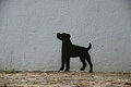 Bernhard Saalfeld - DSC09408.JPG