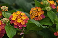 Bernhard Saalfeld - DSC09428.JPG