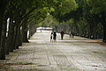 Bernhard Saalfeld - DSC09438.JPG