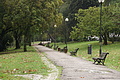 Bernhard Saalfeld - DSC09440.JPG