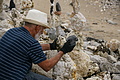 Bernhard Saalfeld - DSC09477.JPG