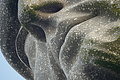 Bernhard Saalfeld - DSC09546.JPG