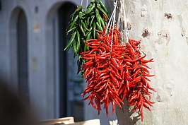 DSC04161_t.JPG