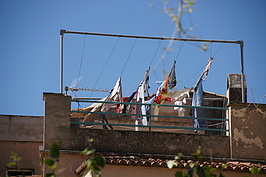 DSC04180_t.JPG