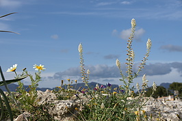 Bernhard Saalfeld - DSC05128.JPG