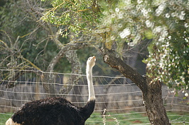 Bernhard Saalfeld - DSC04812.JPG