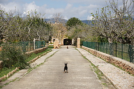 Bernhard Saalfeld - DSC04837.JPG