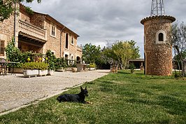 Bernhard Saalfeld - DSC04852.JPG