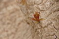 Bernhard Saalfeld - DSC05158.JPG