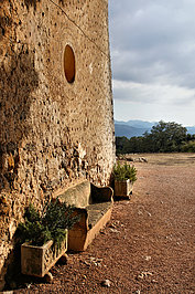 DSC04167_t.JPG