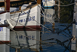Boote_t.jpg