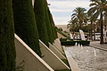 DSC03477_t.JPG