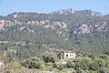 DSC05425_t.JPG