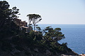 DSC05427_t.JPG