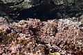 Bernhard Saalfeld - DSC05435.JPG