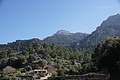 Bernhard Saalfeld - DSC05463.JPG