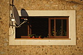 Bernhard Saalfeld - DSC05478.JPG