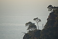 Bernhard Saalfeld - DSC05486.JPG