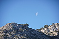Bernhard Saalfeld - DSC05492.JPG