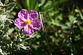 Bernhard Saalfeld - DSC05504.JPG