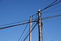 Bernhard Saalfeld - DSC05505.JPG