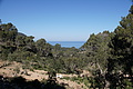 Bernhard Saalfeld - DSC05527.JPG