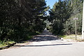 Bernhard Saalfeld - DSC05533.JPG
