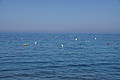Bernhard Saalfeld - DSC05547.JPG