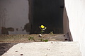 Bernhard Saalfeld - DSC05548.JPG