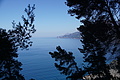 Bernhard Saalfeld - DSC05565.JPG