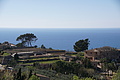 Bernhard Saalfeld - DSC05627.JPG