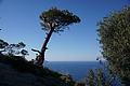 Bernhard Saalfeld - DSC05635.JPG