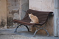 Bernhard Saalfeld - DSC05651.JPG