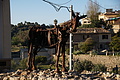 Bernhard Saalfeld - DSC05659.JPG