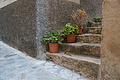 Bernhard Saalfeld - DSC05679.JPG